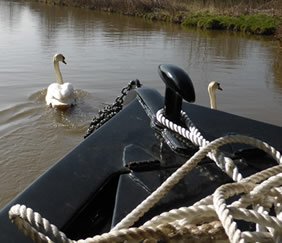 Canal Boat holiday questions
